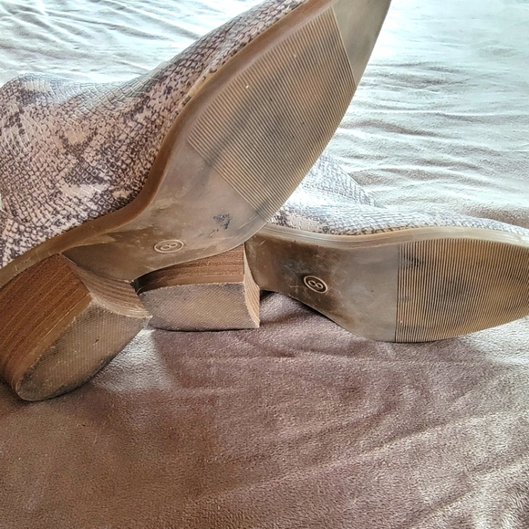 Snake Skin Booties - Picture 5 of 7